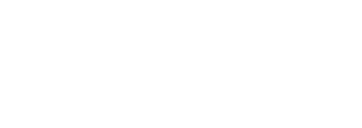 Flex Projects